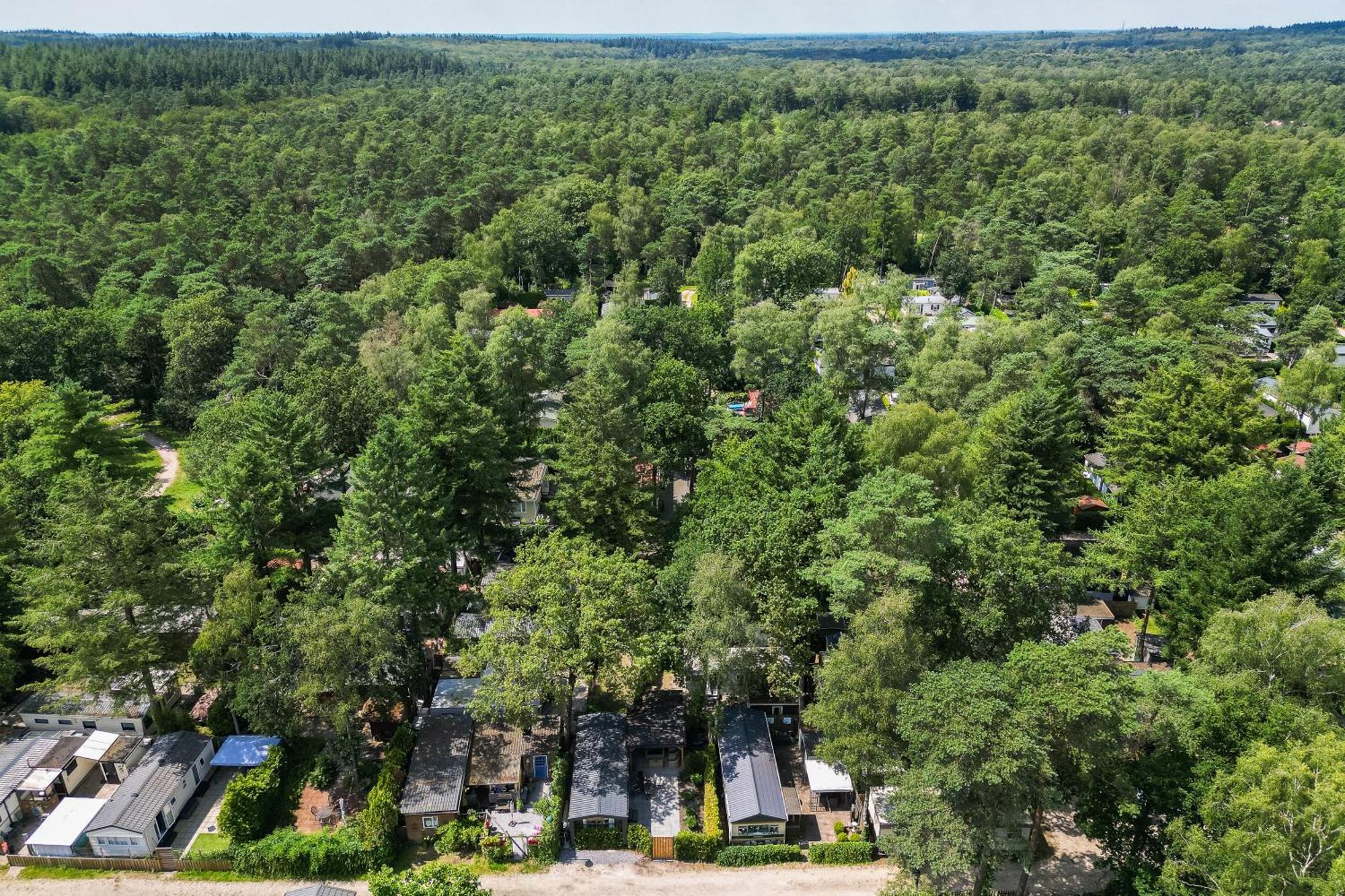 Veluwe Hoenderloo Luxury Chalet With Private Sauna And Hot Tub - Swimming Pool Tennis Court Supermarket Bowling Alley Theatre And Entertainment For Children Luaran gambar