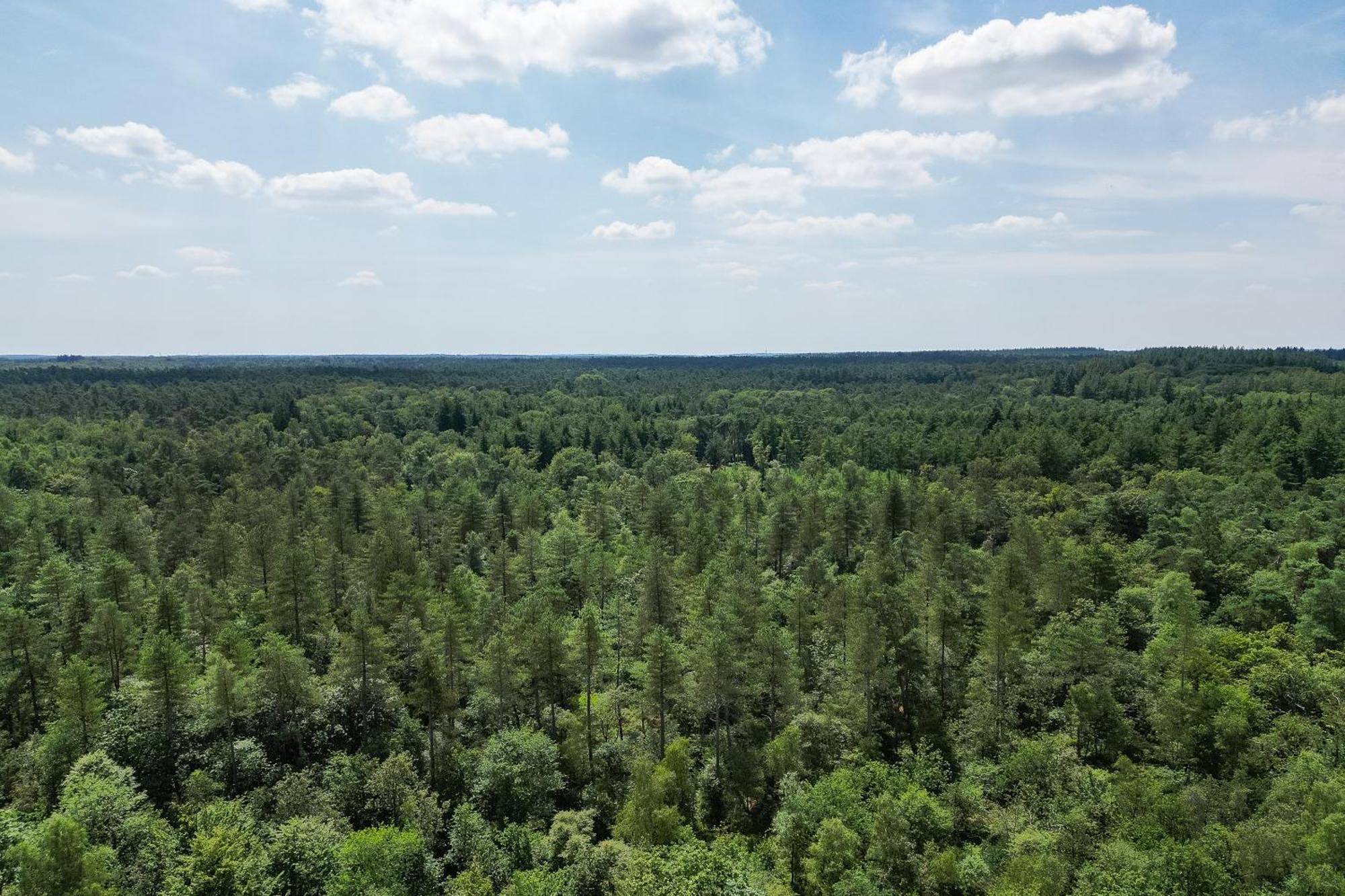 Veluwe Hoenderloo Luxury Chalet With Private Sauna And Hot Tub - Swimming Pool Tennis Court Supermarket Bowling Alley Theatre And Entertainment For Children Luaran gambar